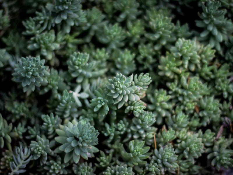 Discord账号注册<br>2026最新过验证注册完整教程